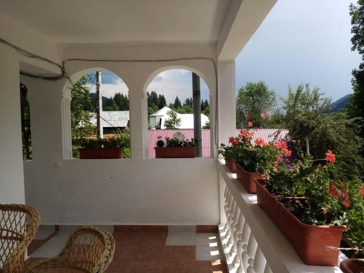 Casa Ionescu Hotel Sadova  Kültér fotó