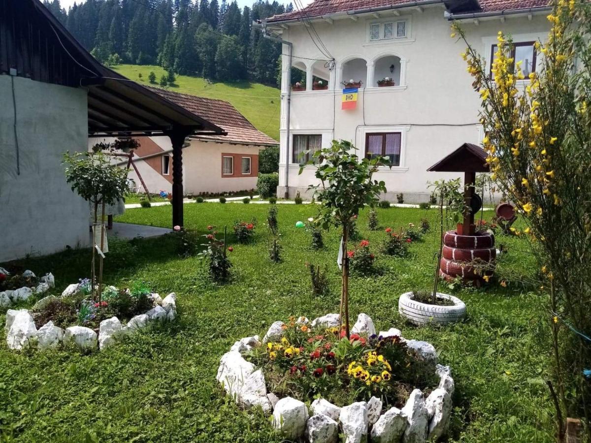 Casa Ionescu Hotel Sadova  Kültér fotó