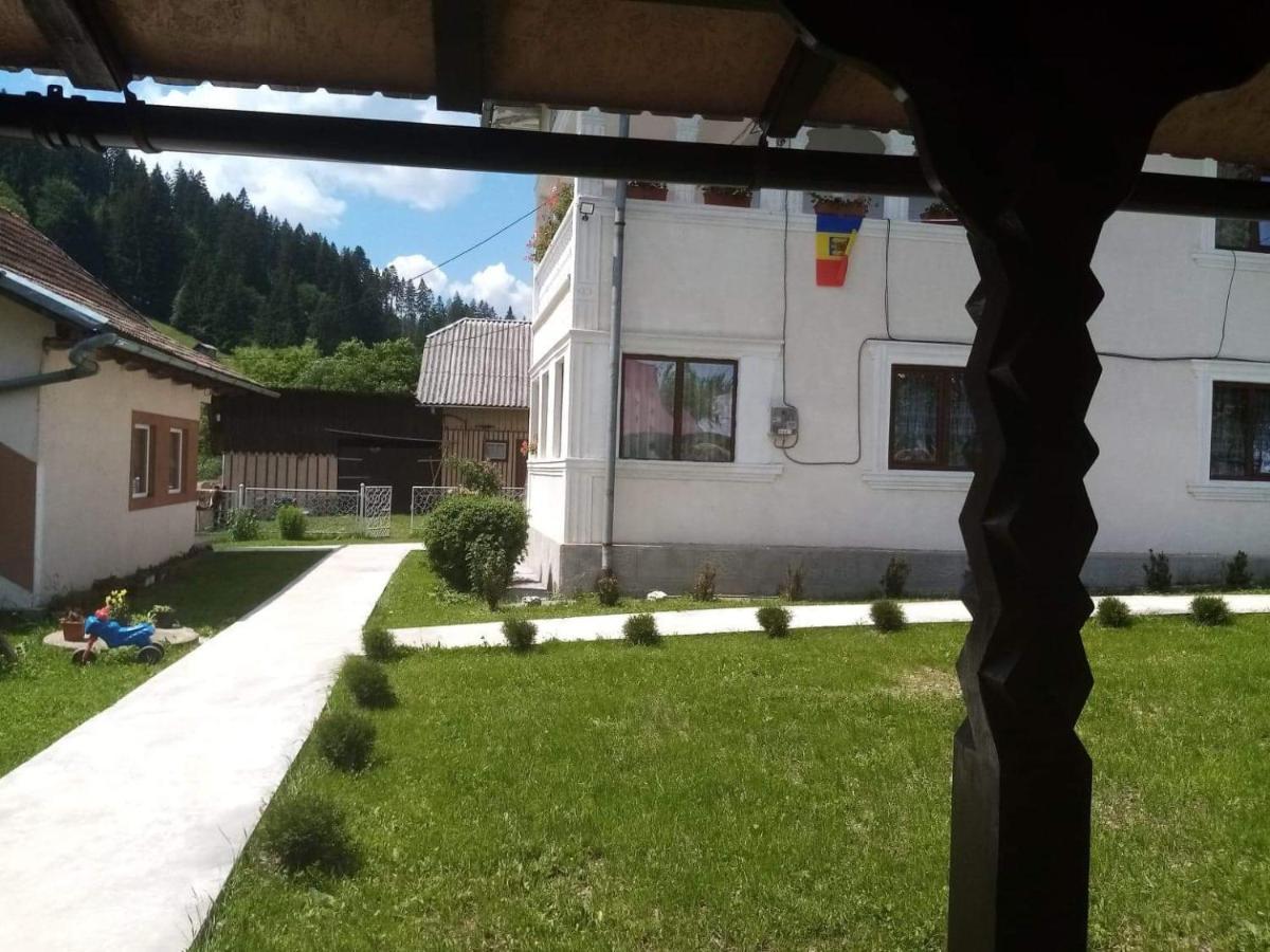 Casa Ionescu Hotel Sadova  Kültér fotó