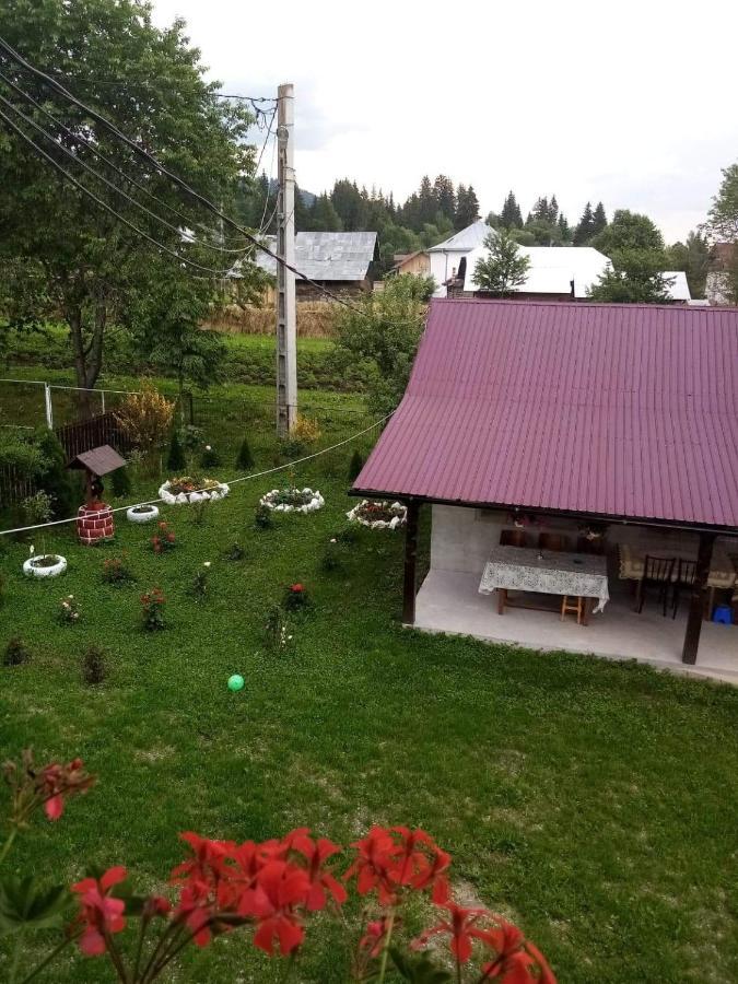 Casa Ionescu Hotel Sadova  Kültér fotó