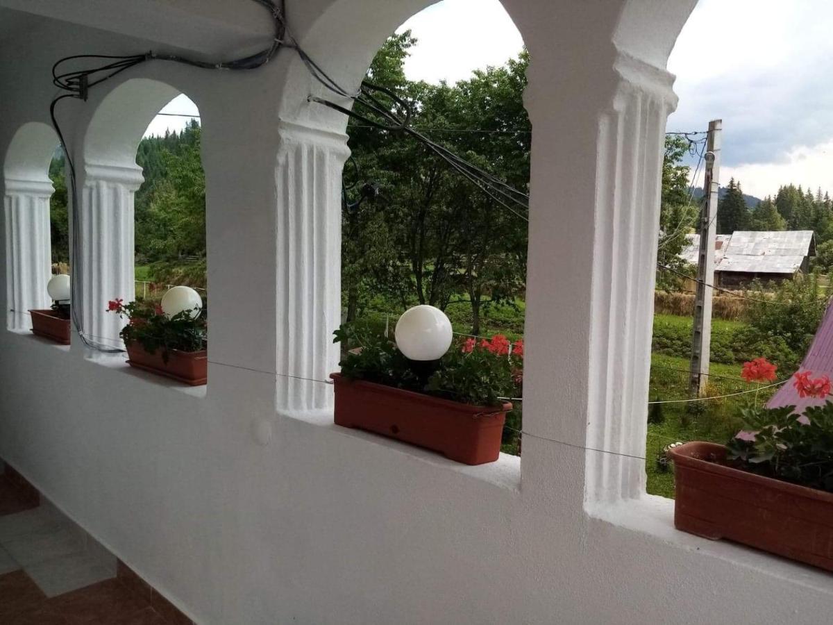 Casa Ionescu Hotel Sadova  Kültér fotó