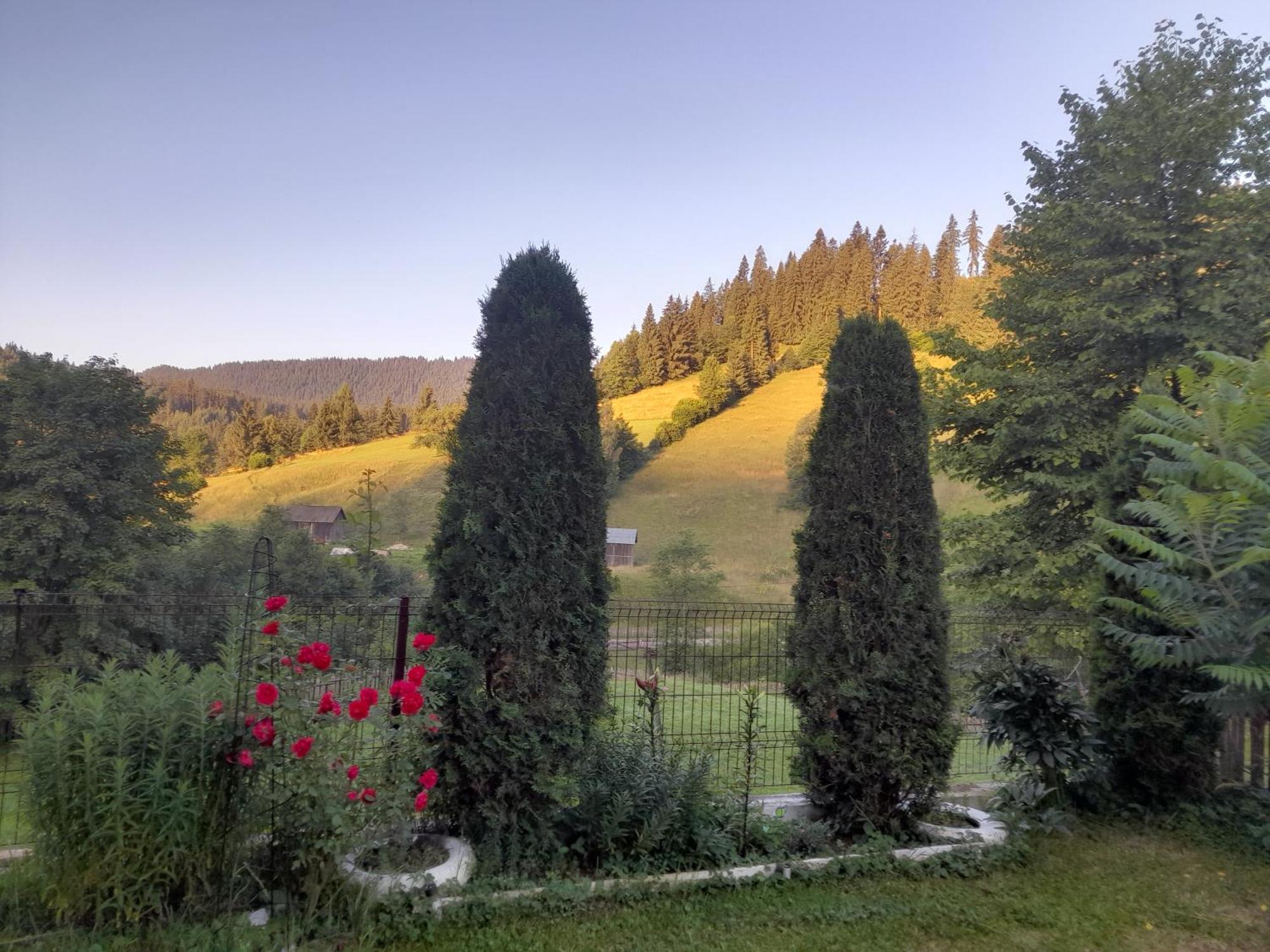 Casa Ionescu Hotel Sadova  Kültér fotó