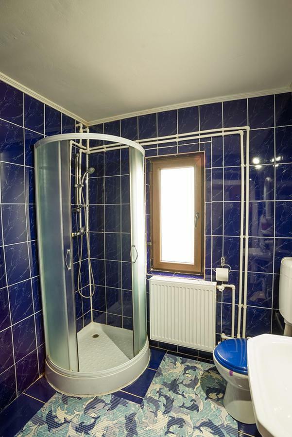 Casa Ionescu Hotel Sadova  Kültér fotó